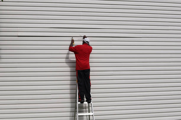 Best Residential Vinyl Siding Installation  in Sardis City, AL