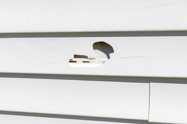Best Siding for New Construction  in Sardis City, AL