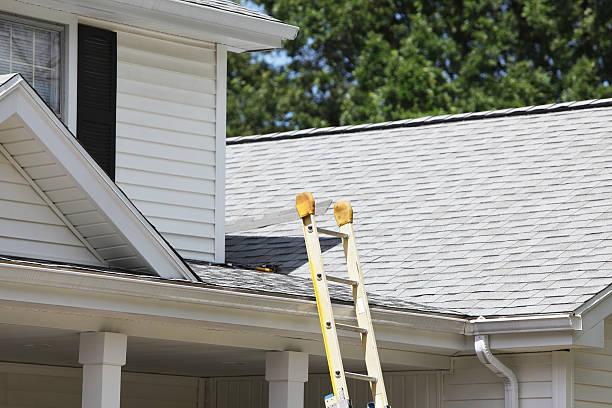 Best Steel Siding Installation  in Sardis City, AL